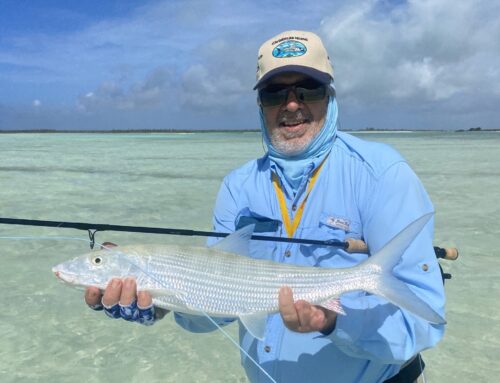 Christmas comes early for Harold