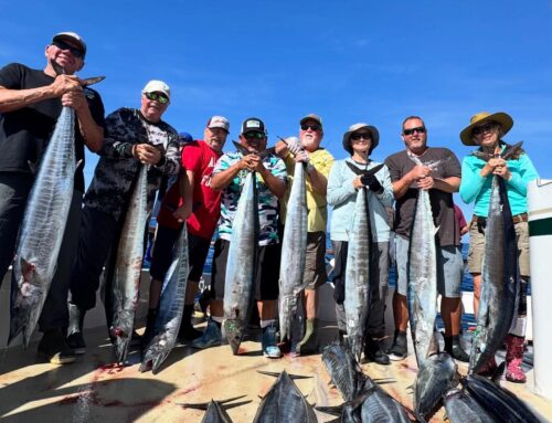 Royal Polaris 8 day in December