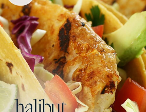 Haida Gwaii Safaris Halibut Tacos